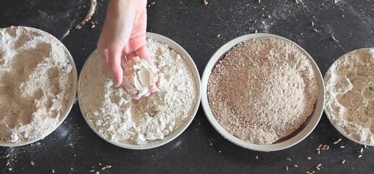 rice flour blender vs food processor